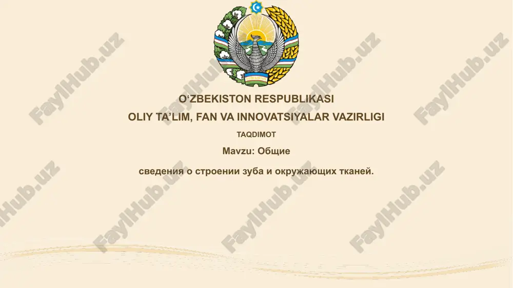 tishning tuzilishi — PPTX