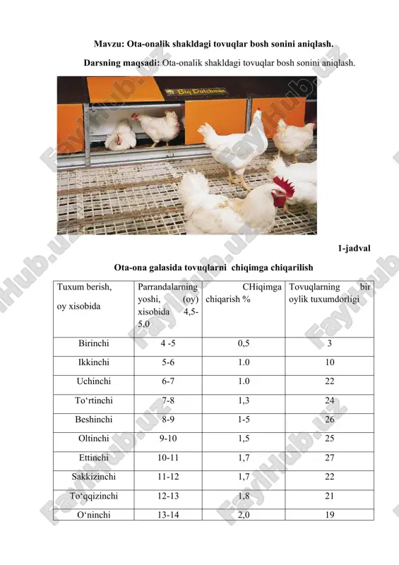 ota-onalik shakldagi tovuqlar bosh sonini aniqlash — DOCX