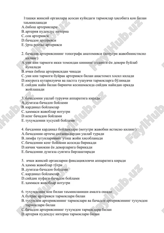 bachadon arteriyasi — DOCX