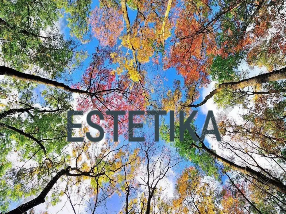 estetika — PPTX