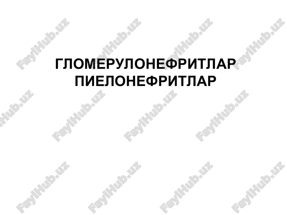 glomerulonefritlar pielonefritlar — PPT
