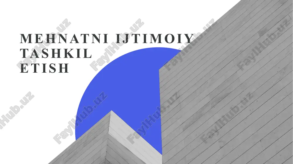 mehnatni ijtimoiy tashkil etish — PPTX