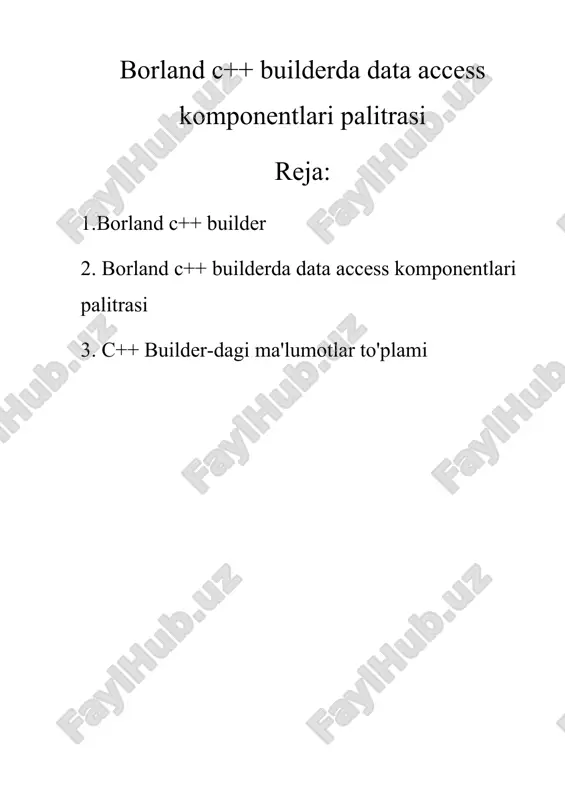 c++ builder-dagi ma'lumotlar to'plami — DOCX