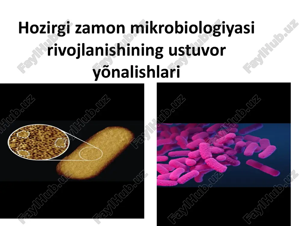 hozirgizamonmikrobiologiyasirivojlanishiningustuvor yõnalishlari — PPTX