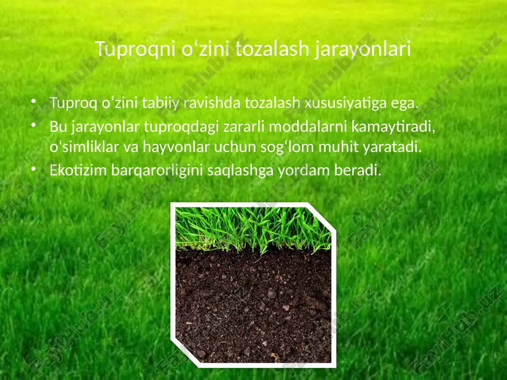 tuproqni o‘zini tozalash jarayonlari — PPTX