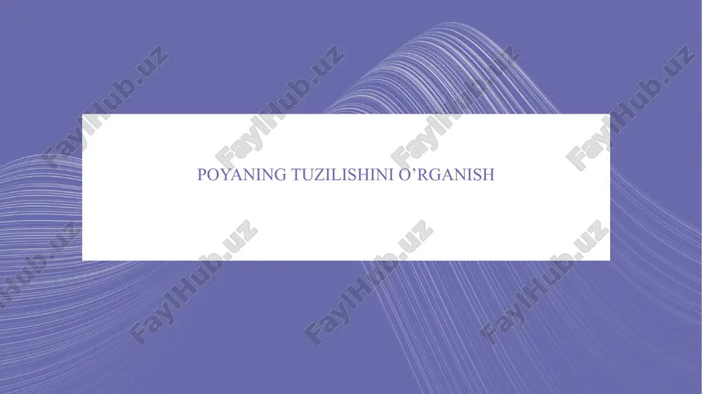 poyaning tuzilishini o'rganish — PPTX