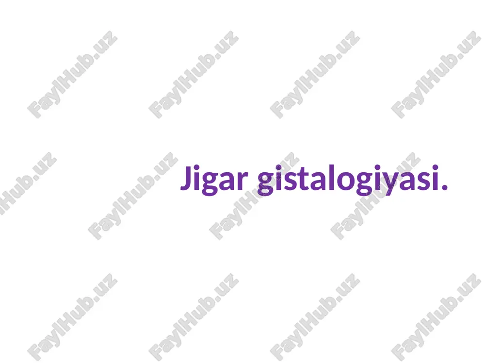 jigar gistalogiyasi — PPTX