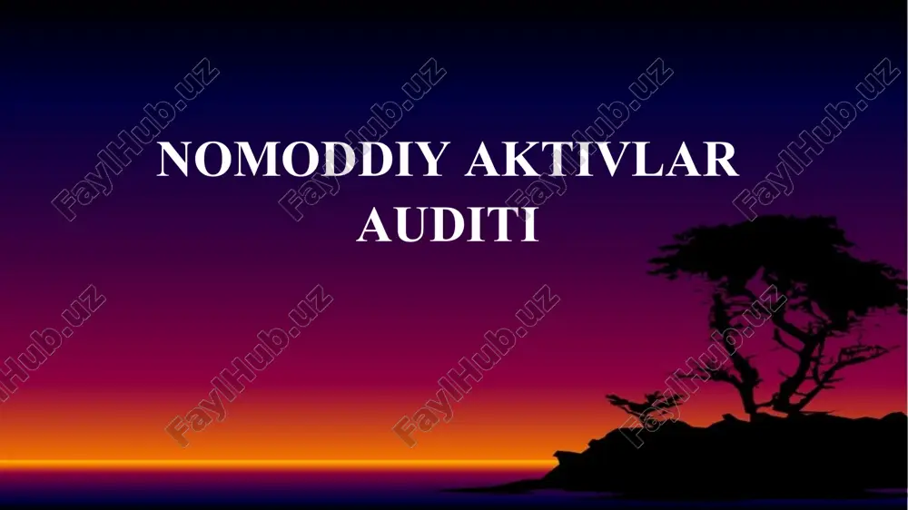 nomoddiy aktivlar auditi — PPTX