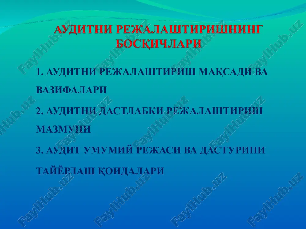 auditning rejalashtirish maqsadi va vazifalari — PPT