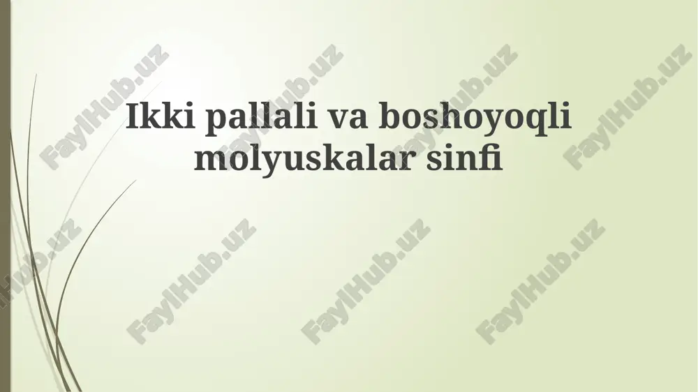 ikkipallalivaboshoyoqlimolyuskalarsinfi — PPTX