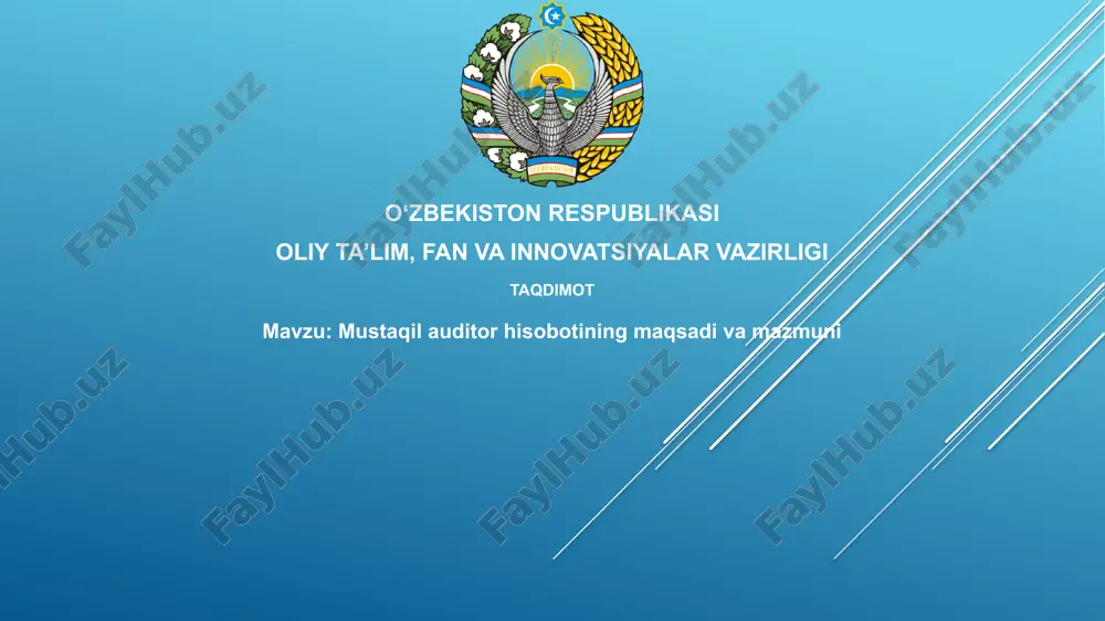 mustaqil auditorlik hisoboti — PPTX
