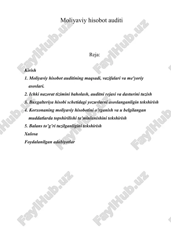 moliyaviy hisobot auditi — DOC