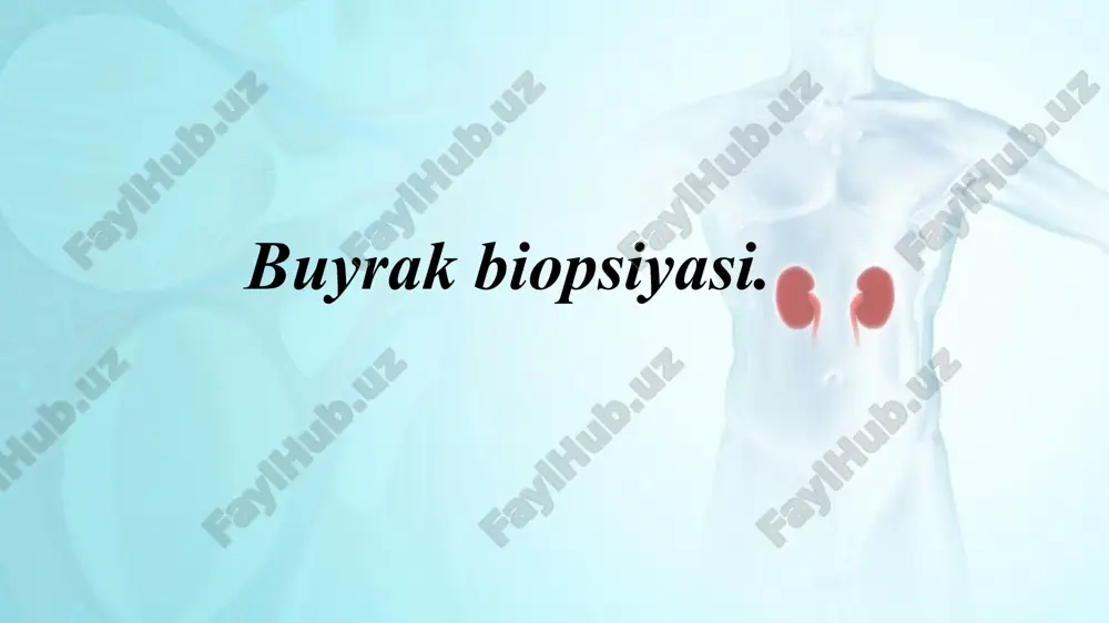 buyrak biopsiyasi — PPTX
