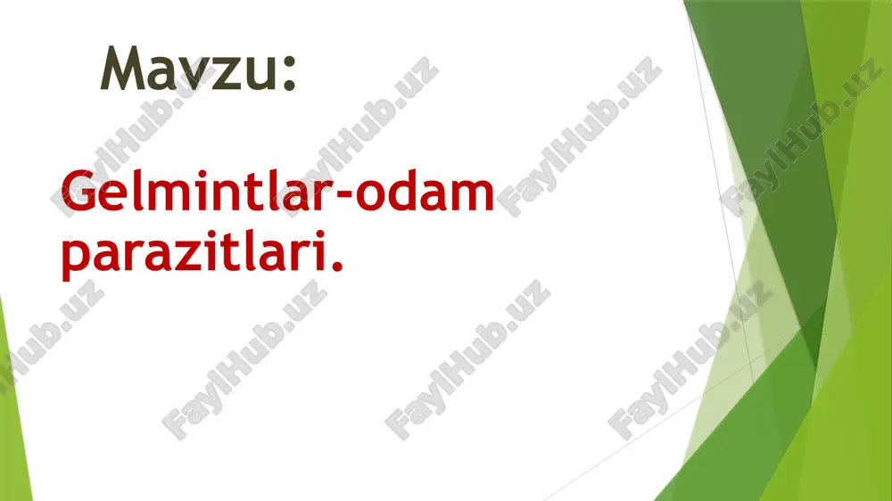 gelmintlar-odamparazitlari — PPTX