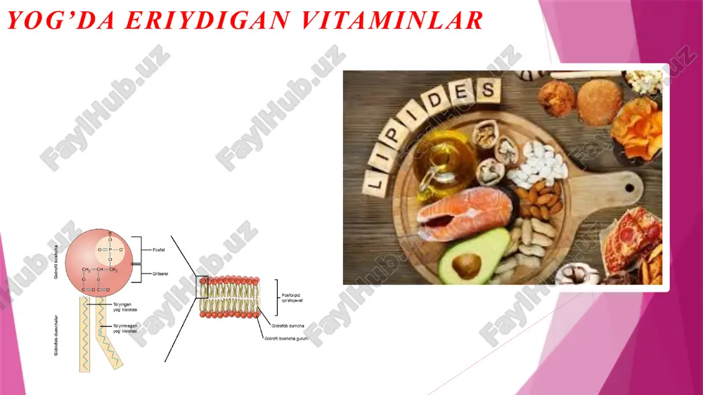 yog’da eriydigan vitaminlar — PPTX