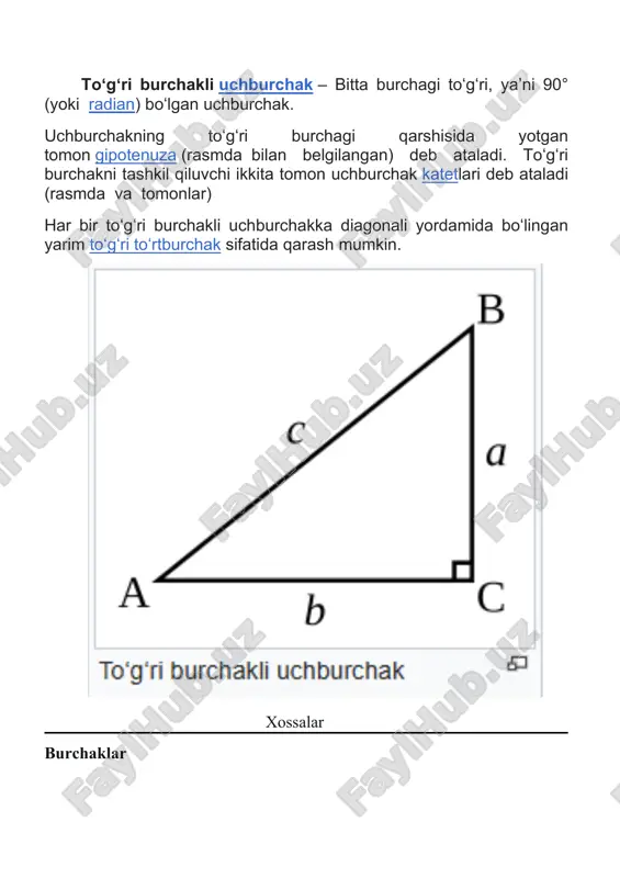 matematika to`g`ri uchburchak va uning turlari — DOCX