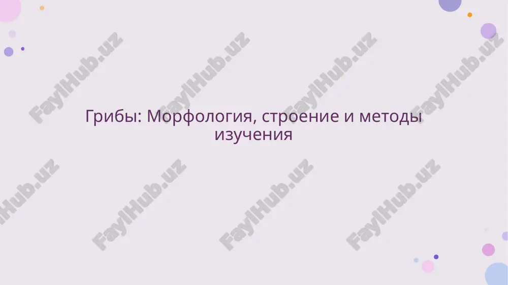 gribi: morfologiya, stroenie i metodi izucheniya — PPTX