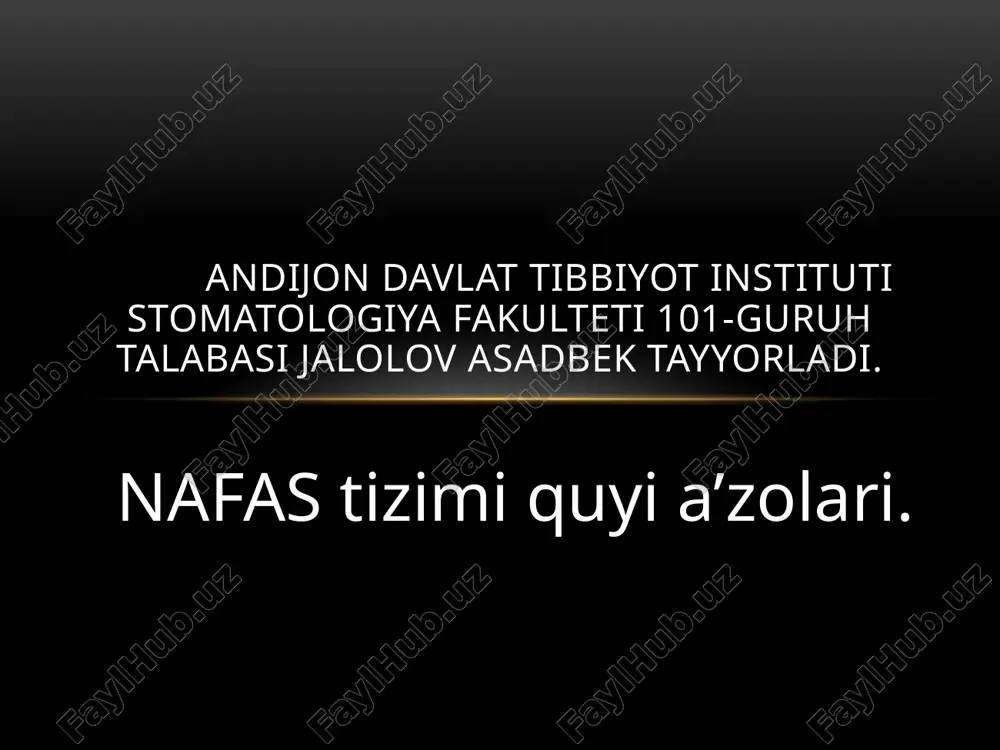 nafas tizimi quyi a’zolari. — PPTX
