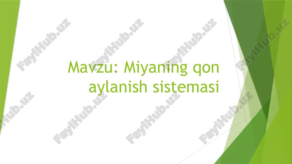 miya qon aylanish sistemasi — PPTX