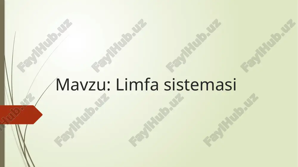 limfa sistemasi anatomiyasi — PPTX