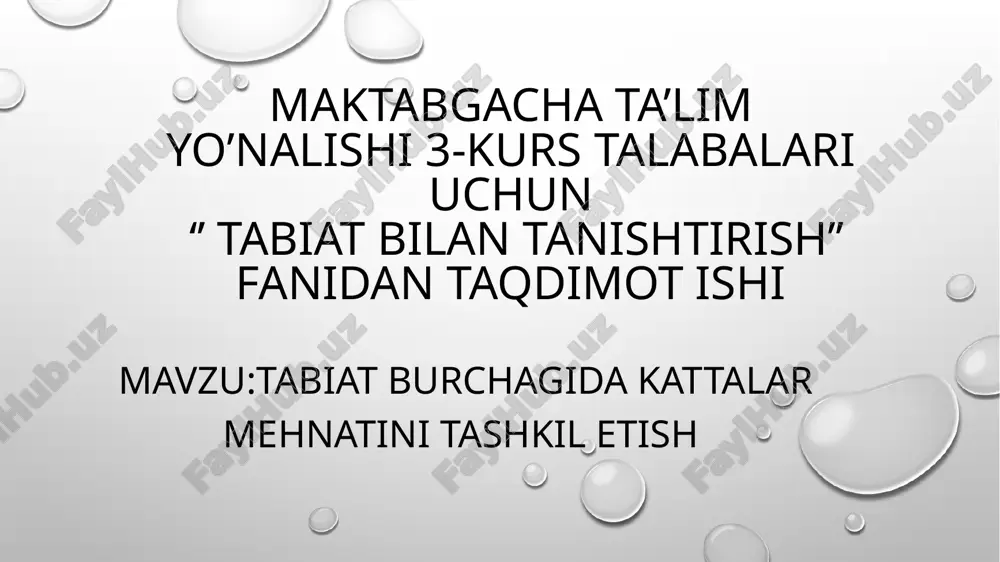tabiat burchagini tashkil etish — PPTX