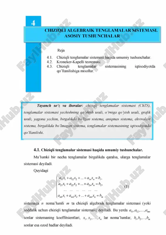 chiziqli tenglamalar sistemasi — PDF