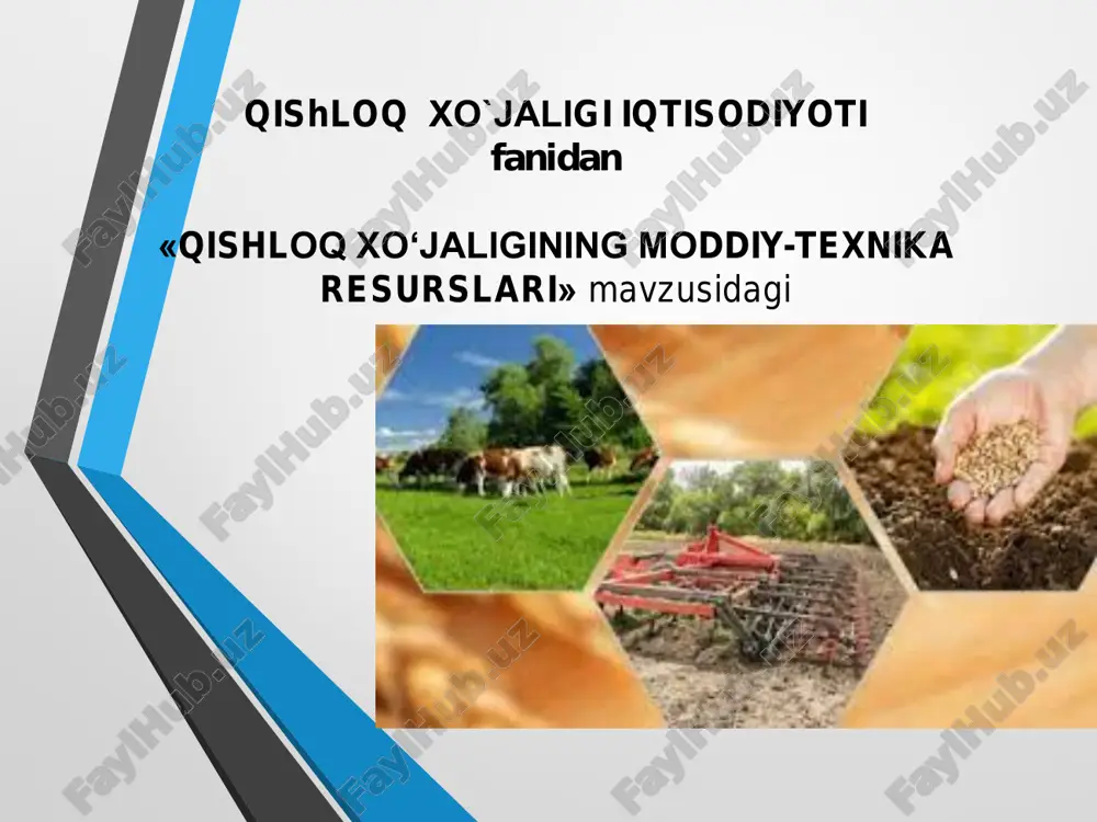 qishloq xo`jaligi iqtisodiyoti — PDF