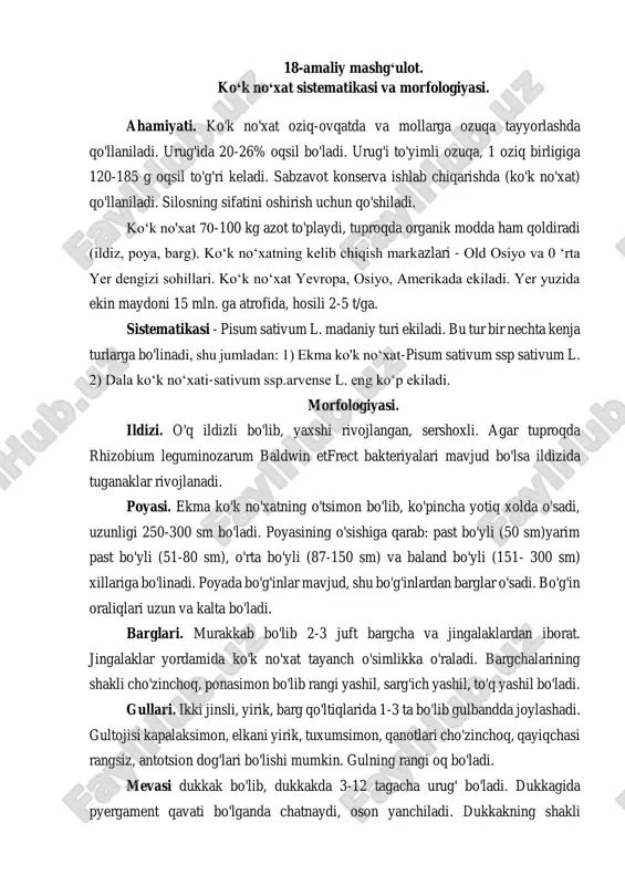 ko‘k no‘xat (ko‘k no‘xat) — PDF