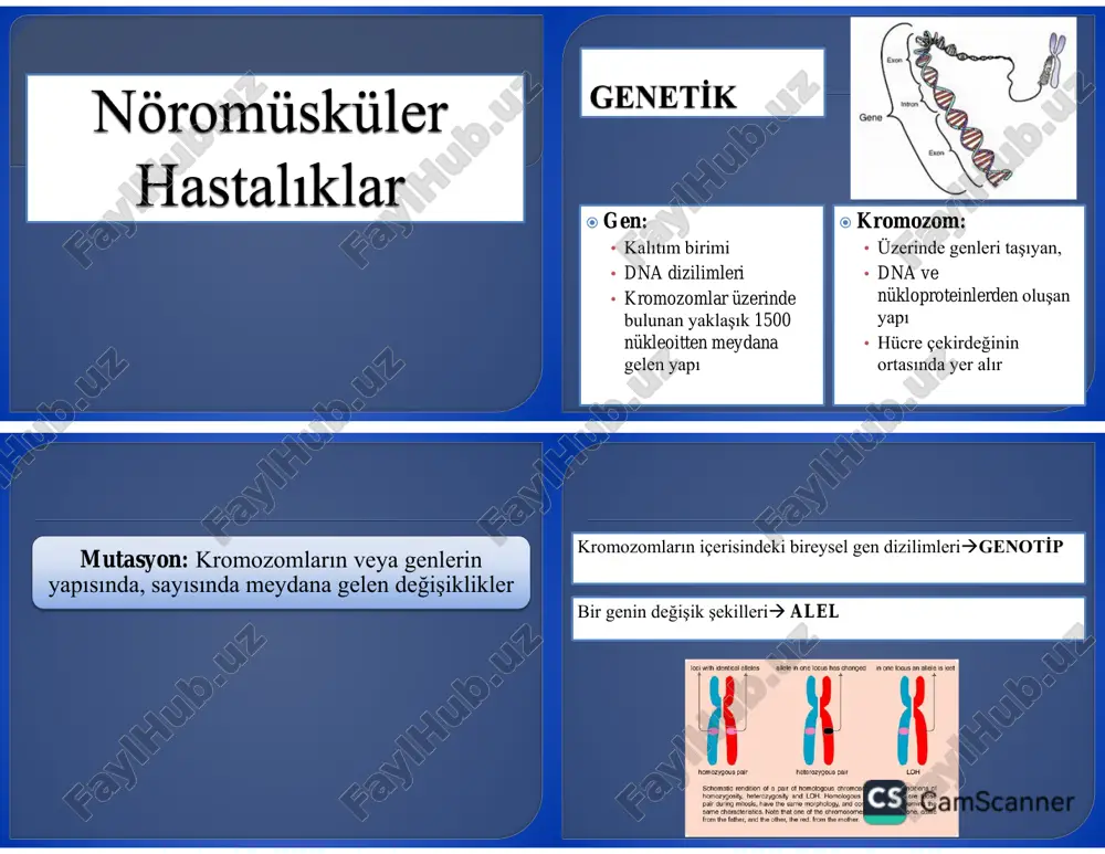 genetika va genetika ilmi — PDF