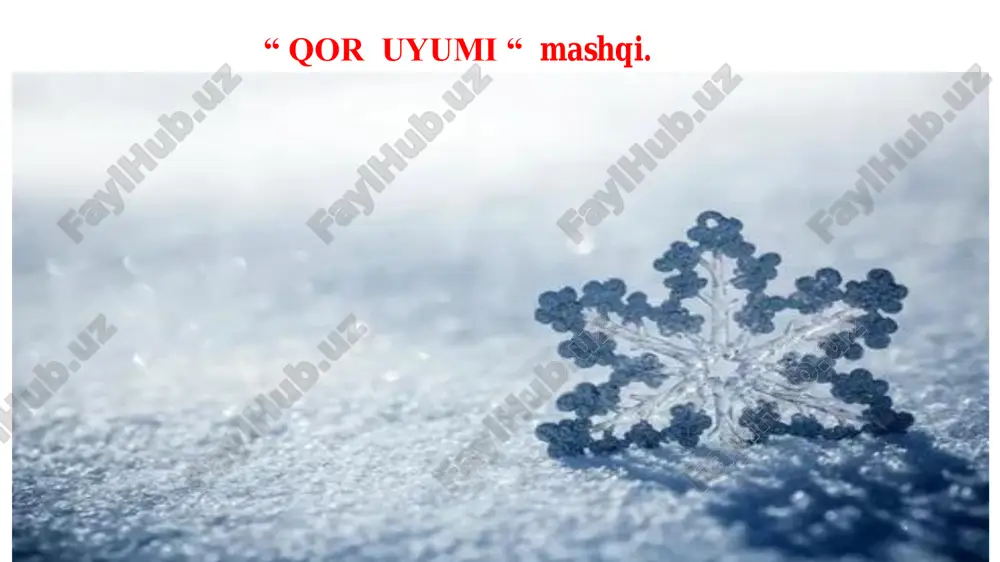 qor uyumi “ mashqi. — PDF