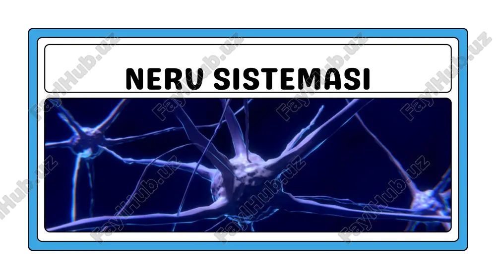 nerv sistemasi — PDF