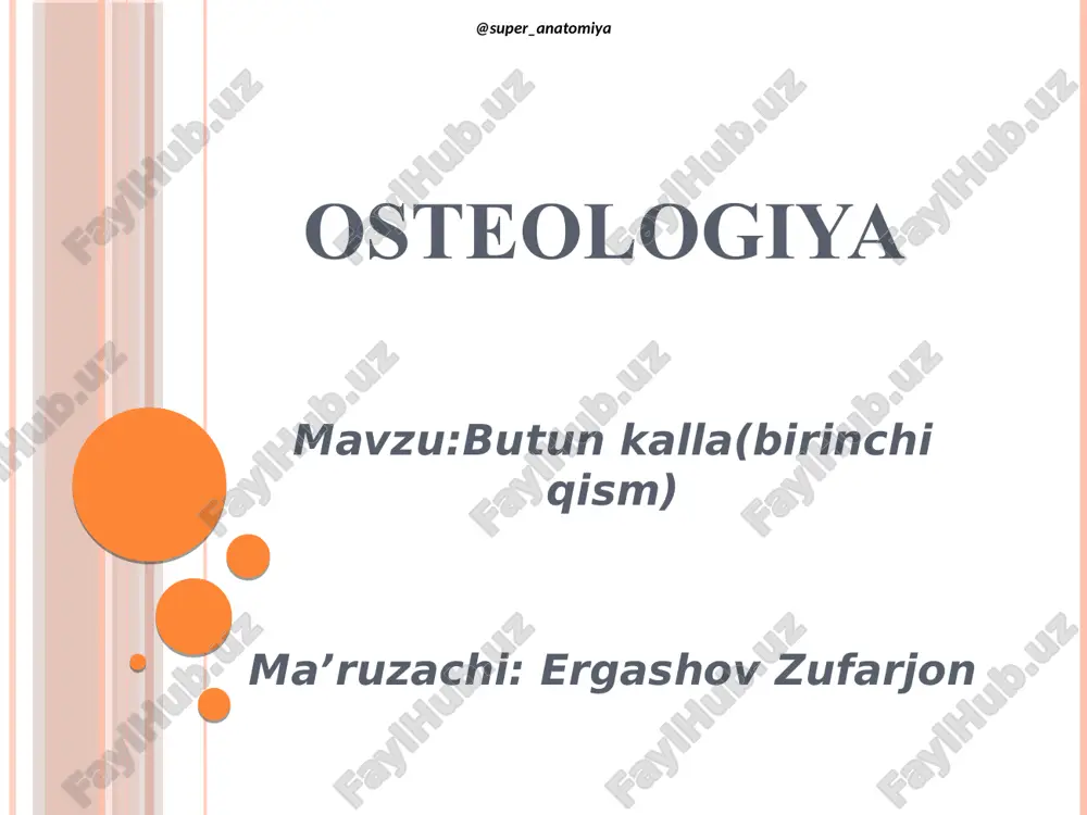osteologiya — PDF