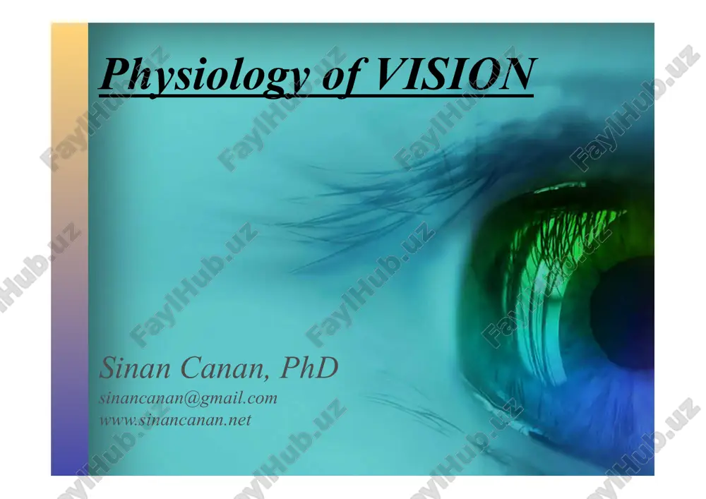 physiology of vision — PDF
