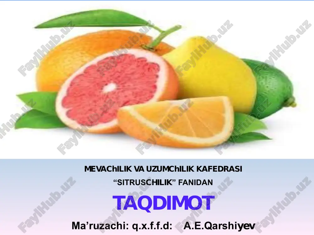 sitrus mevali daraxtlarni kesish va shakl berish — PDF