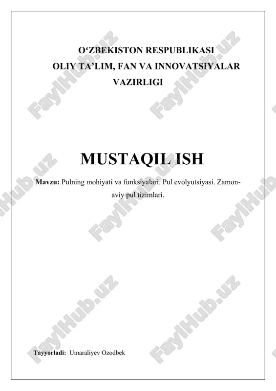 pulning mohiyati va funksiyalari — DOCX