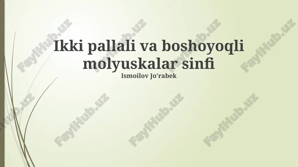 bivalviyalar va cephalopodlarning ekologik ahamiyati — PPTX