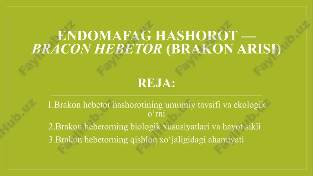 braconhebetor — PPTX