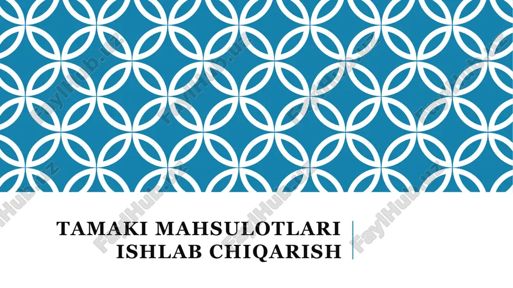 tamaki mahsulotlari ishlab chiqarish — PPTX