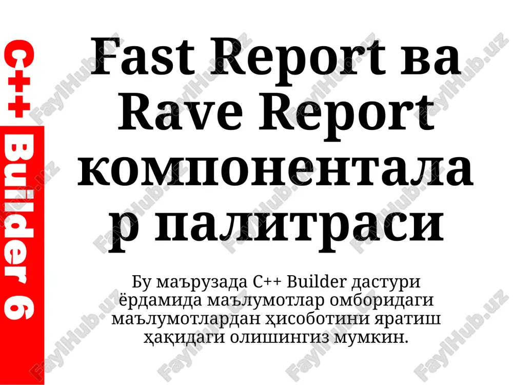 fastreport va rave report komponentalar palitrasi — PPTX