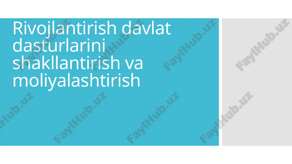 rivojlantirish dasturlari — PPTX