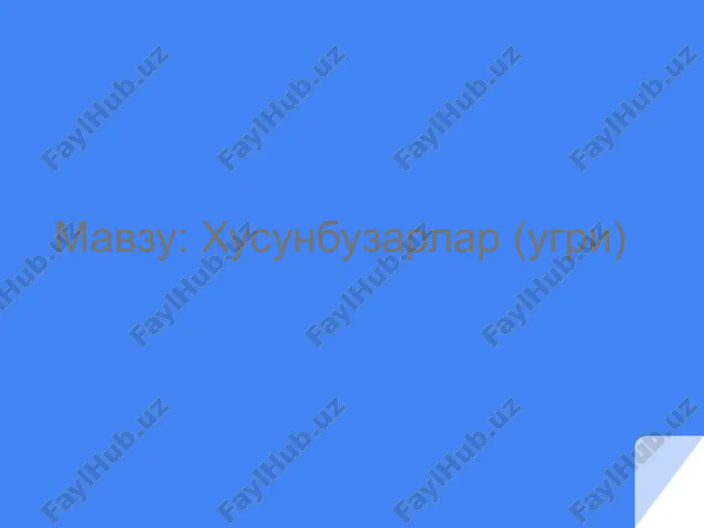 xusunbuzar — PPTX