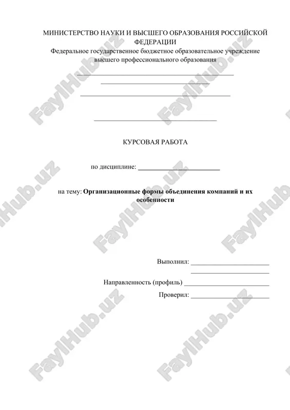 issledovanie form ob'edineniya kompaniy s analizom organizatsionnoy strukturi aliexpress i rekomendatsi — DOCX