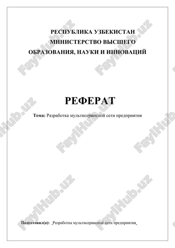 razrabotka multiservisnoy seti predpriyatiya — DOCX