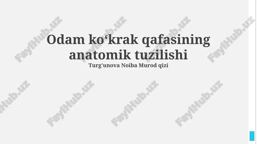 qovurg'alar qafasining anatomik tuzilishi — PPTX