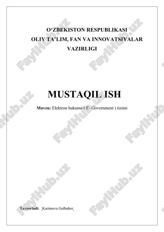 elektron hukumat ( e- government ) tizimi — DOCX