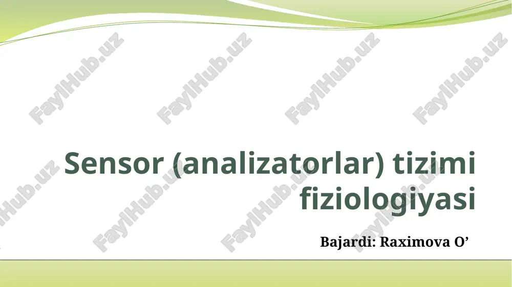 sensor (analizatorlar)tizimifiziologiyasi — PPTX