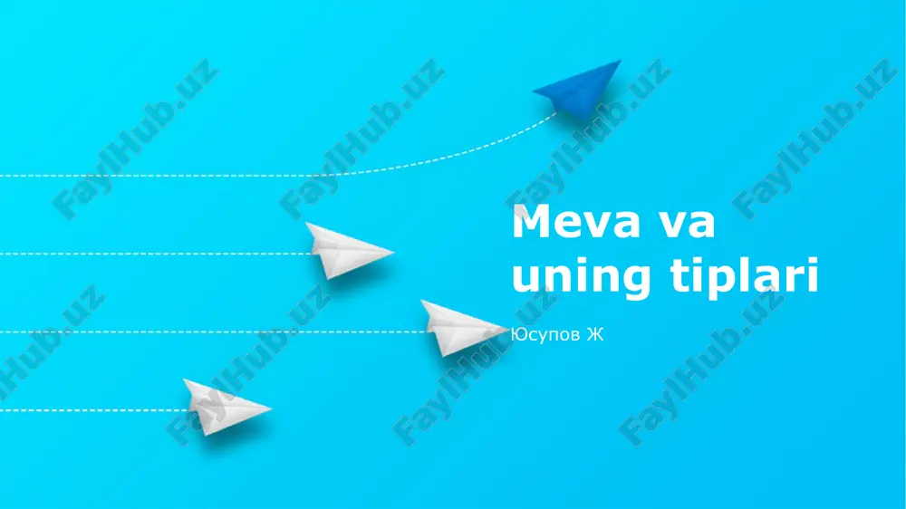 meva va uning tiplari — PPTX