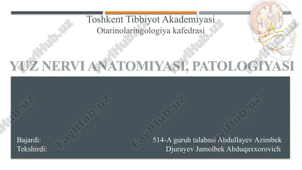 yuz nervi anatomiyasi, patologiyasi — PPTX