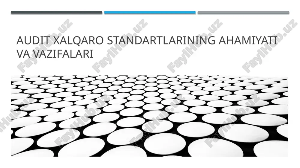 audit xalqaro standartlarining ahamiyati va vazifalari — PPTX