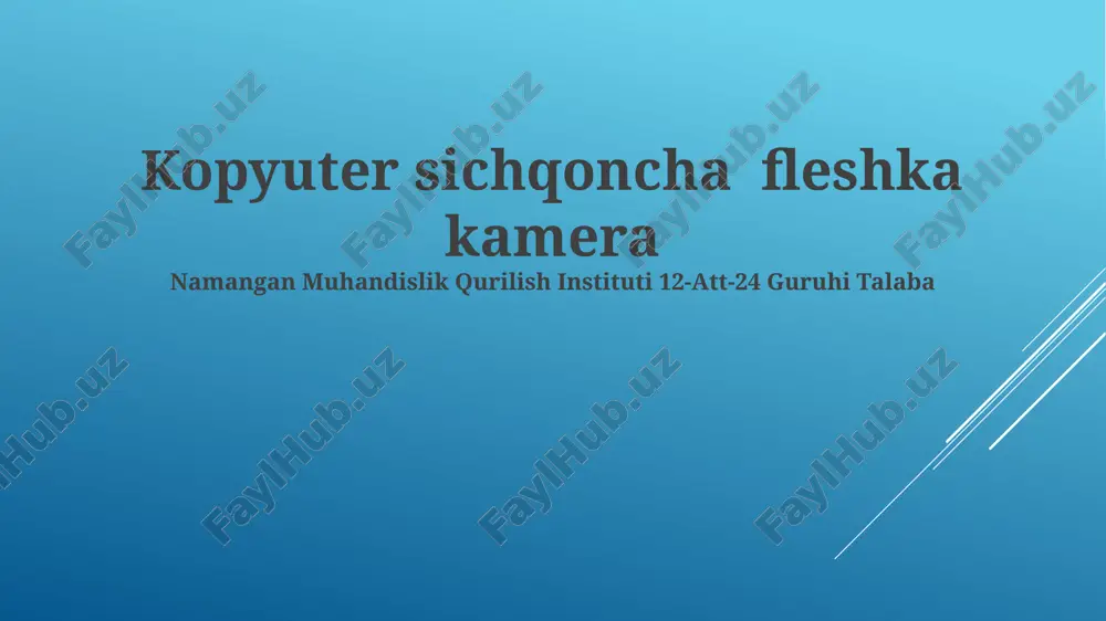 kompyuter sichqoncha fleshka kamera — PPTX